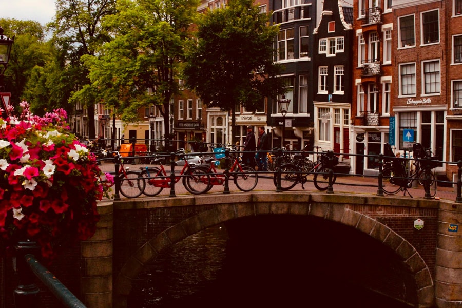 Studiare nei Paesi Bassi